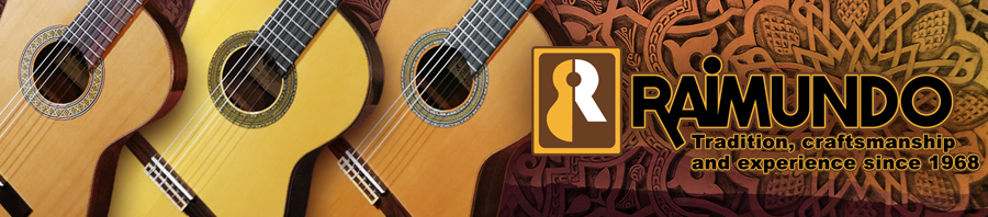 Raimundo guitars